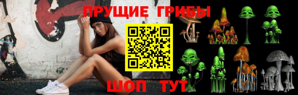 Псилоцибиновые грибы мицелий Вологда