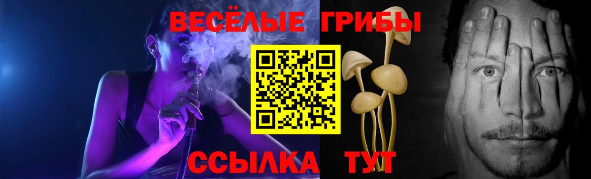 Галлюциногенные грибы Psilocybe  Вход с VPN  Вологда  Галлюциногенные грибы прущие грибы 